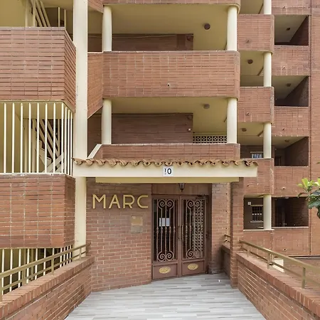 Marc 8d